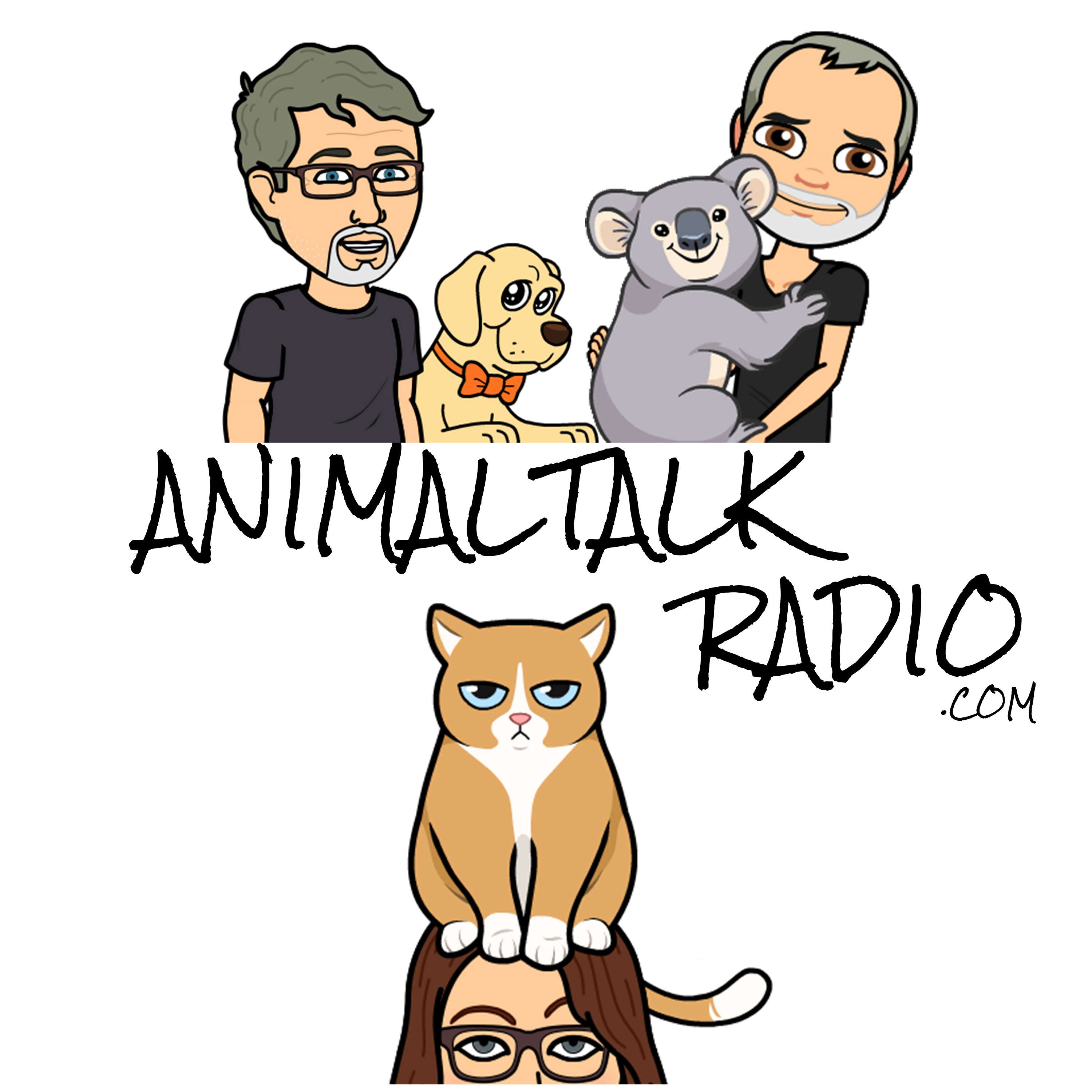 Animal Talk –   Bears and off track with robots – Episode 75