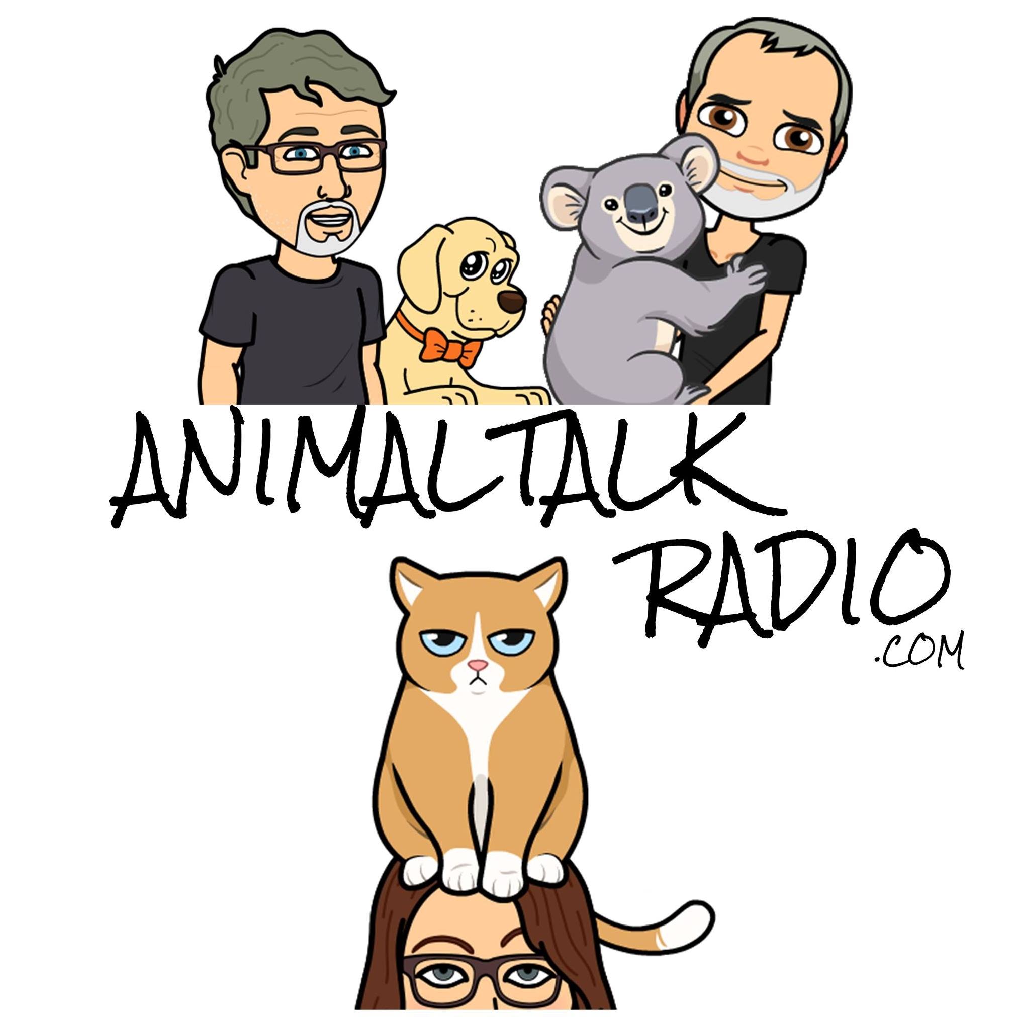 Animal Talk Radio